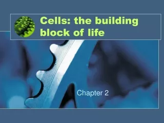 cells the building block of life