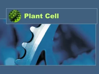 plant cell