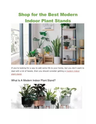 modern indoor plant stands