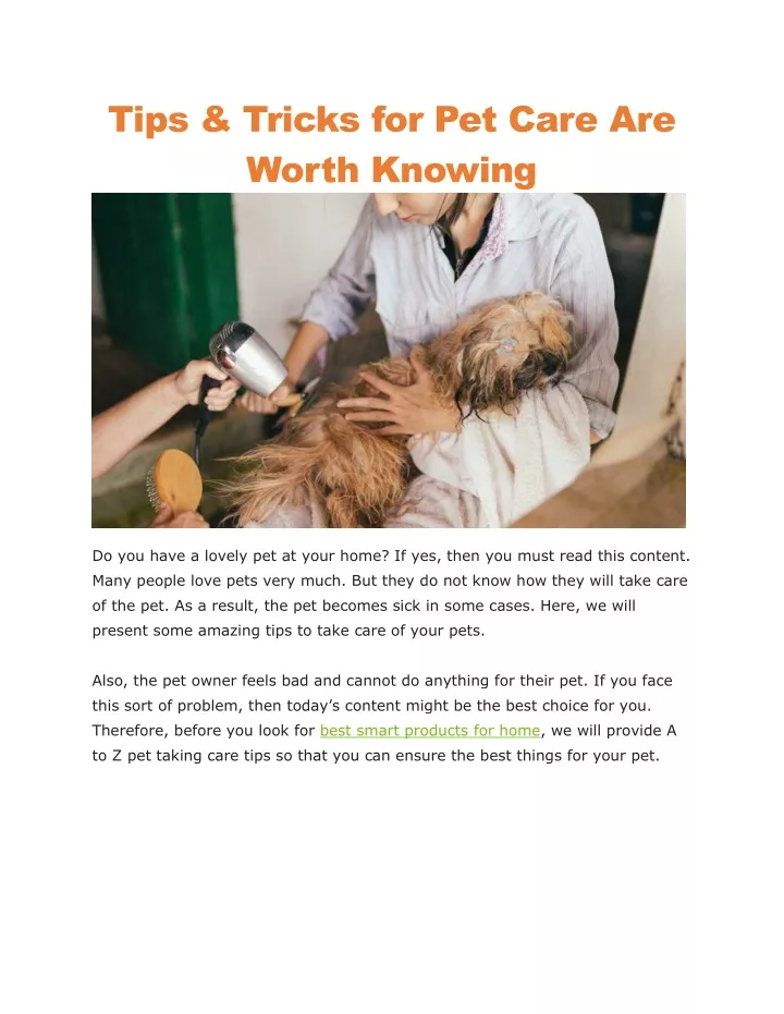tips tricks for pet care are worth knowing