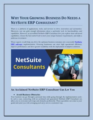 Why Your Growing Business Do Needs a NetSuite ERP Consultant