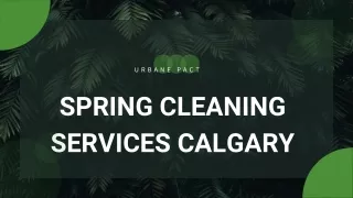 Spring Clean-Up Service for Homeowners?
