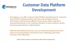 customer data platform development