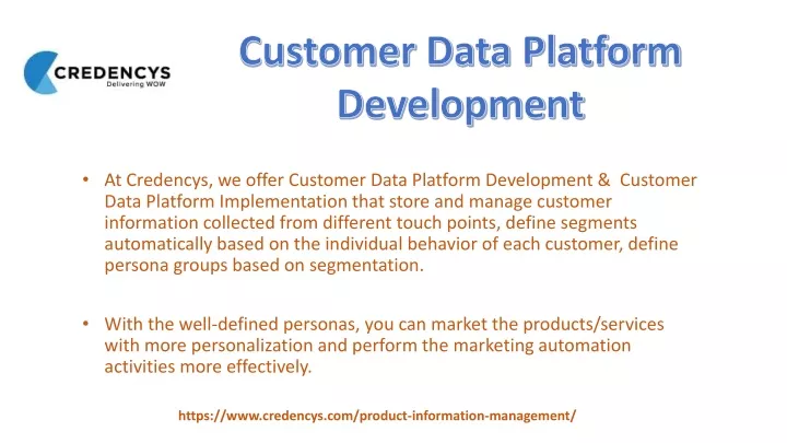 customer data platform development