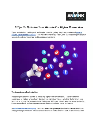 5 Tips To Optimize Your Website For Higher Conversion - Animink