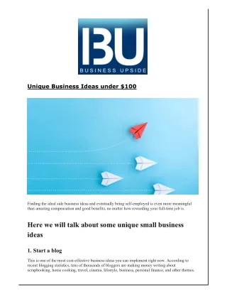 unique business ideas under 100