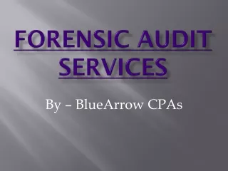 Top-Rated Forensic Auditing Service Provider – BlueArrowCPA