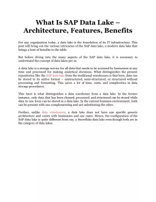 what is sap data lake architecture features