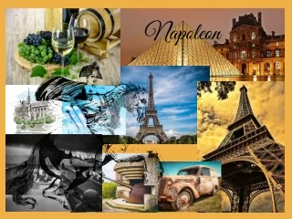 napoleon
