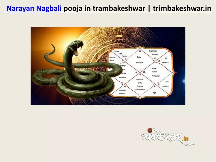 narayan nagbali pooja in trambakeshwar