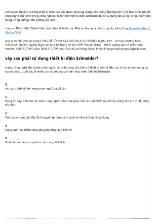 Schneider Electric Quảng Ngãi