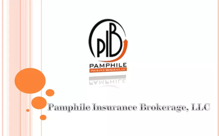 pamphile insurance brokerage llc