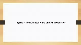zymo-the-magical-herb-and-its-properties