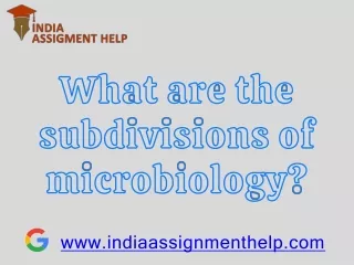 www indiaassignmenthelp com