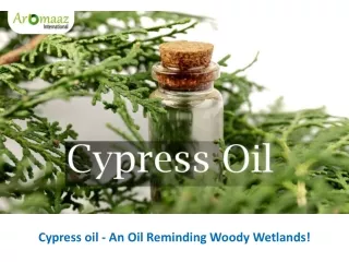 Cypress oil - An Oil Reminding Woody Wetlands!