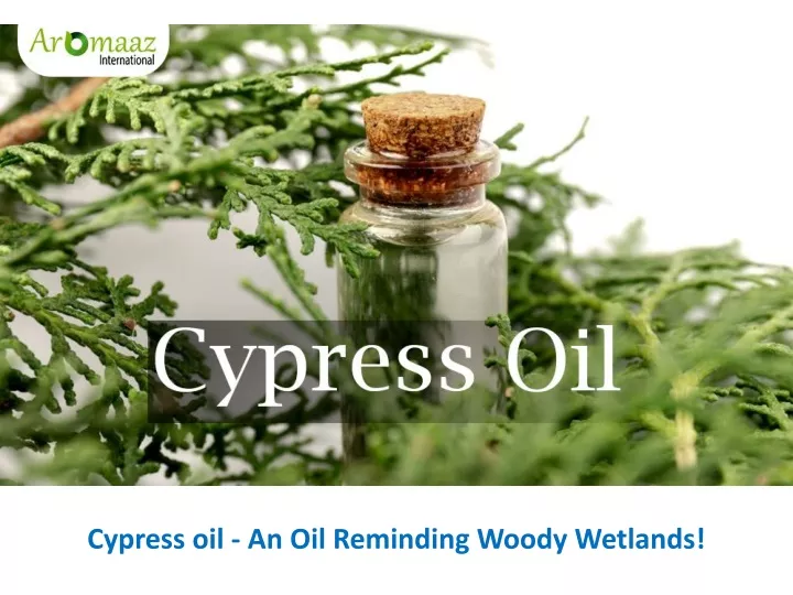 cypress oil an oil reminding woody wetlands