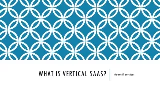 What is Vertical saas? It's Benefits, Drawbacks and Future