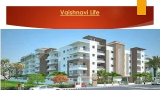 Details Of vaishnav life Plots