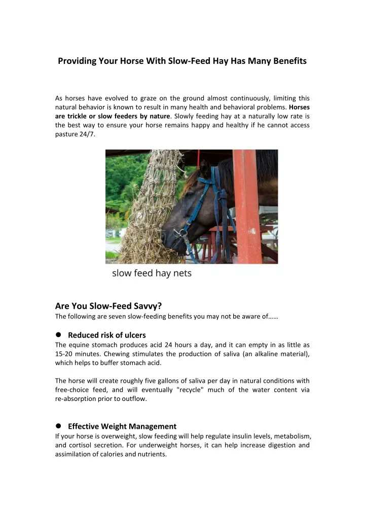 providing your horse with slow feed hay has many