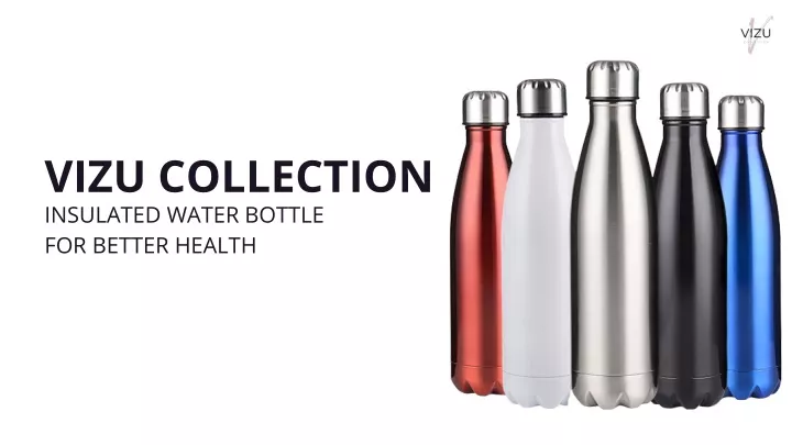 vizu collection insulated water bottle for better