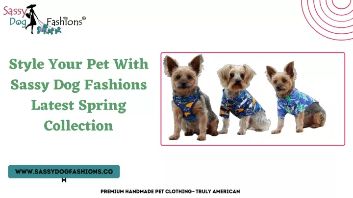 style your pet with sassy dog fashions latest