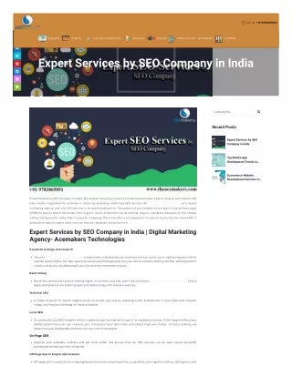 Expert Services by SEO Company in India