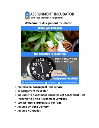 Best Online Assignment Help Service