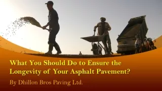 What You Should Do to Ensure the Longevity of Your Asphalt Pavement?