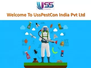 Pest Control Services in Jaipur