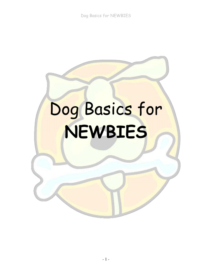 dog basics for newbies