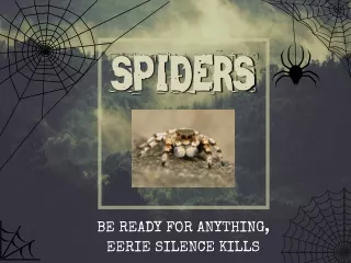 spider