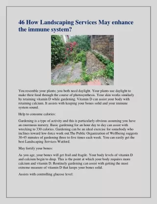 46 how landscaping services may enhance