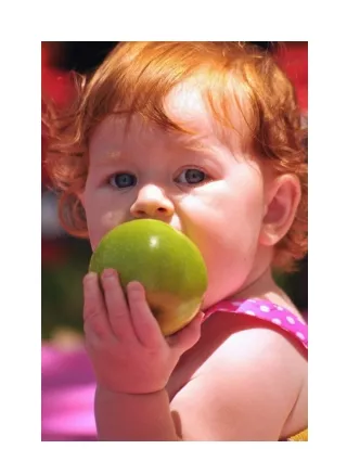 Organic Baby Food Products