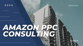 Amazon PPC Consulting
