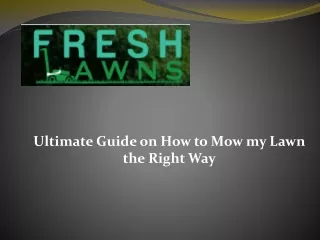 Ultimate Guide on How to Mow my Lawn the Right Way
