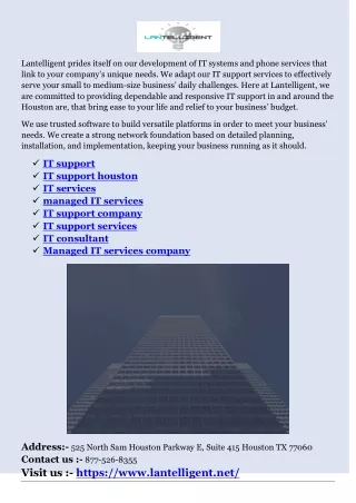 lantelligent prides itself on our development