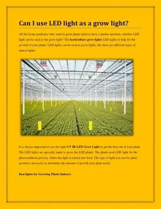 Can I Use Best LED Light As A Grow Light?