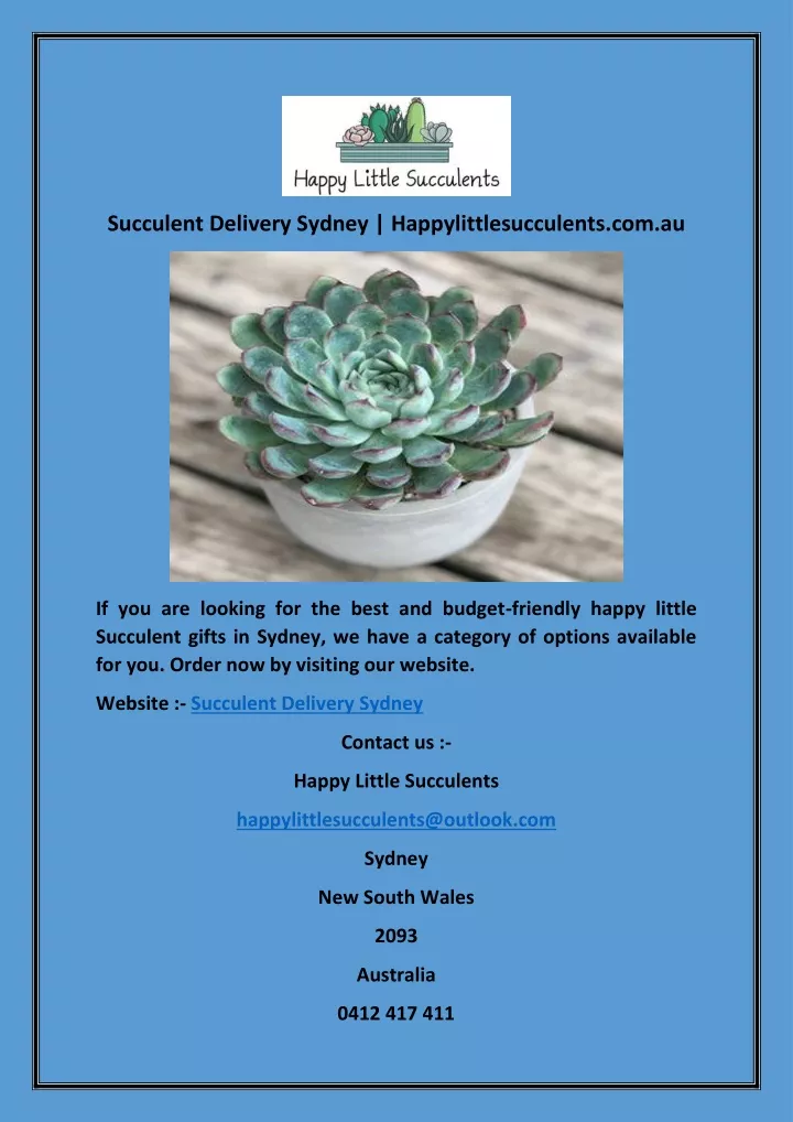 succulent delivery sydney happylittlesucculents