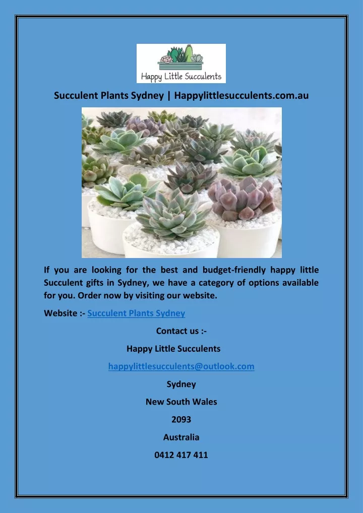 succulent plants sydney happylittlesucculents