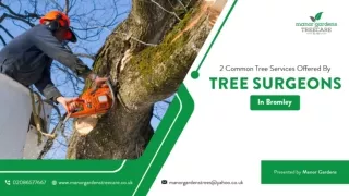 2 Common Tree Services Offered By Tree Surgeons in Bromley