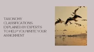 taxonomy classifications explained by experts