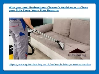 why you need professional cleaner s assistance