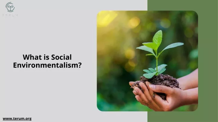 what is social environmentalism