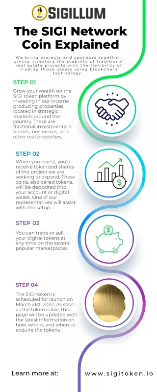 the sigi network coin explained