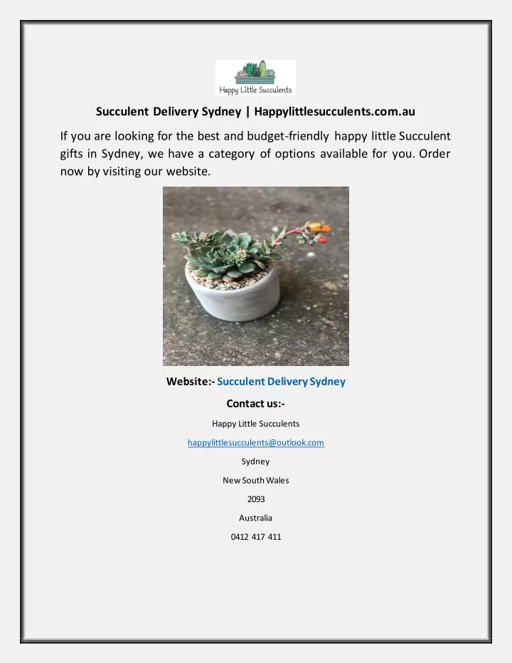 succulent delivery sydney happylittlesucculents