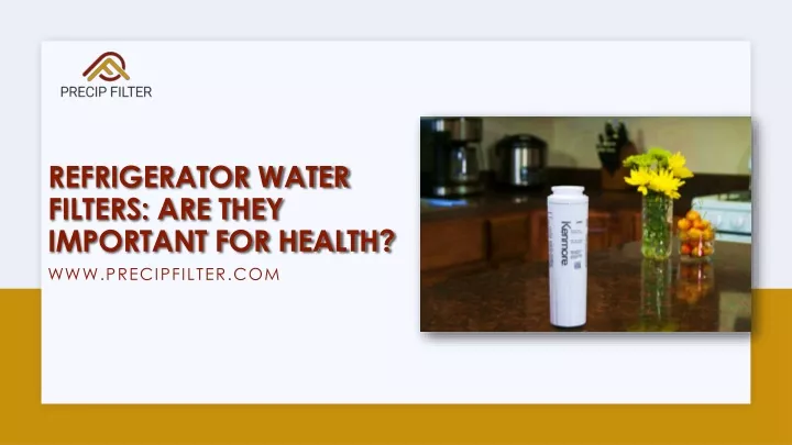 refrigerator water filters are they important for health
