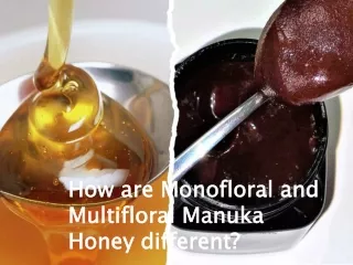 How are Monofloral and Multifloral Manuka Honey different
