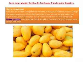 Feast Upon Mangos Anytime by Purchasing from Reputed Suppliers