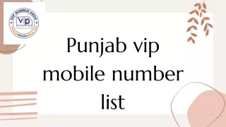 Punjab vip mobile number list
