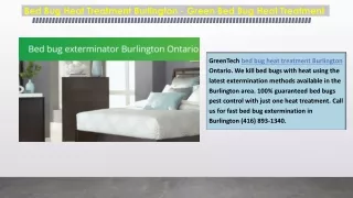 Bed Bug Heat Treatment Burlington - Green Bed Bug Heat Treatment